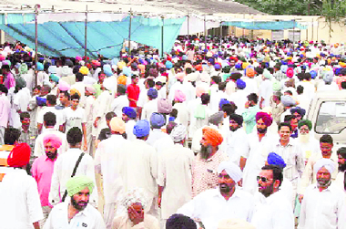 Thousands of farmers from the region thronged PAU to attend Kisan Mela on Thursday.