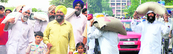 Farmers with bags of seeds and manure at the mela on Thursday.