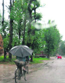 A tree that got uprooted outside the Raj Bhawan following heavy in Shimla on Friday; and (right) a cyclist on his way back home in Mandi.