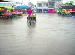 The waterlogged vegetable market in Khanna on Friday.