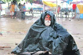 An old man shields himself by a plastic sheet during heavy rain in Allahabad