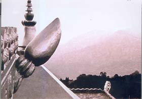 A photograph by Paulius Normatus exhibited at India International Centre