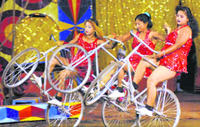 Acrobats perform at Asiad Circus in Ludhiana on Sunday.