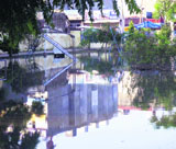 Municipal corporation has failed to clear stagnant water from Prem Bhandari Municipal Council Park on the Amloh road.