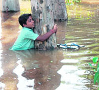A child clings on to a tree to protect himself in a flooded area near Ambala on Monday. 