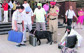 A dog squad checks the luggage of passengers at the railway station in Ludhiana on Tuesday.