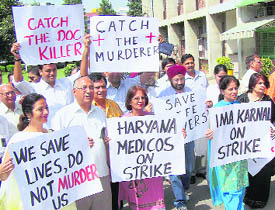 Doctors hold a protest in Karnal on Thursday against the murder of Dr D.S. Chaudhary in Bhiwani.