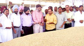 SDM N.S. Brar examines the quality of paddy as the procurment began at the grain market in Abohar on Tuesday.