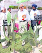 V.C. Chopra, member of the Planning Commission, looks at a cactus variety at the kisan mela at the CSSRI, Karnal, 