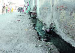 Open sewer at Railway Station Mohalla in Sultanpur Lodhi poses a grave threat to the health of residents. Tribune photo: Pawan Sharma