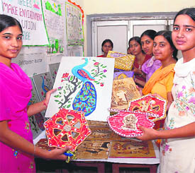 Students of KVADAV College for Women display artefacts made by them on the concluding day of the NSS camp in Karnal on Saturday.