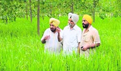 Agro-economist S.S. Johl (centre) discusses a point with paddy growers at Hawaas village, near Ludhiana