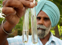 An official of the Health Department showing larva at ITI campus, Bathinda.