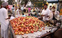A vendor selling fruits in Bathinda on Monday.