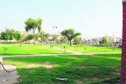 A view of Anand Vatika developed by residents of C Block in Sirsa