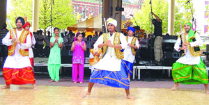 A stall put up by Punjabis living in Ohio in the US was adjudged the best during the 12th cultural fest of Springfield.