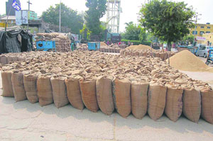 Stock of paddy lying at Khanna grain market. 