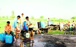 Residents of Sundana village in Rohtak district fetch water from hand pumps outside the village on Monday as there has been no water in the supply tank for the past two days