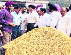 Principal secretary to the Chief Minister assesses the process of procurement and lifting at a grain market in Doraha. 