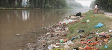 The polythene waste lying on the banks of Sirhind canal.