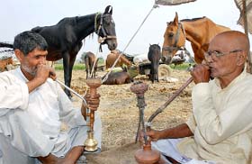 Pony sellers from Panipat wait for buyers at a pony fair in Neval village, near Karnal
