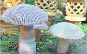 Mushrooms in stone