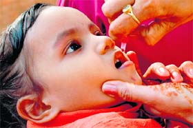 A child being administered pulse polio drops in Chandigarh