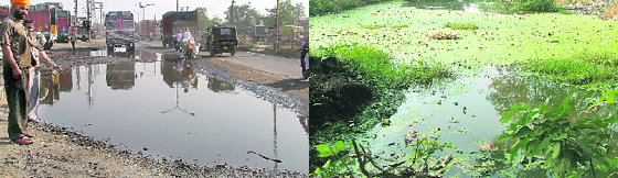 Stagnant water in Baba Deep Singh Nagar; and (right) water that has been standing along the GT Road in Ludhiana for the past several years.