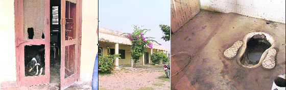 Pathethic condition of the Civil Veteniary Hospital at Haibowal; and (right) a door with broken wire mesh.