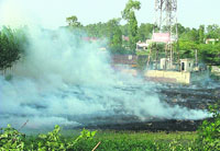 Despite ban, farmers continue to burn stubble in their fields.