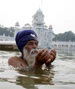 Pilgrims progress: A devotee takes a dip in the holy sarovar at the Takht Shri Damdama Sahib in Talwandi Sabo to mark the Gurta Gaddi Diwas celebrations