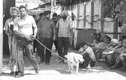 Members of a bomb search team at a factory in Mohali on Monday. 