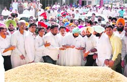 Former Chief Minister Amarinder Singh at the Khanna grain market 