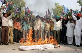 Members of Dalit Sena burning an effigy of MNS chief Raj Thackeray in Bathinda