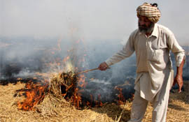 A farmer burning paddy stubble near Chak Fateh Singh Wala village in Bathinda district.