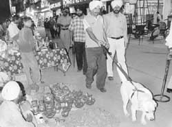 Cops conduct anti-sabotage checking at Phase VII market in Mohali. 