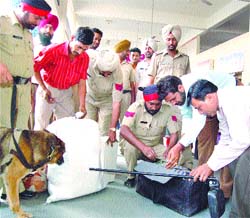 Policemen search baggage of passengers with the help of sniffer dogs in Jalandhar on Monday