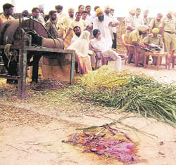 A pool of blood where the body of Manjit Singh was found in Maherna Kalan village near Ahmedgarh on Wednesday.