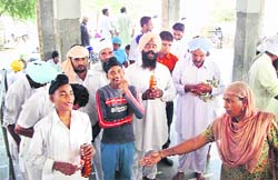 Devotees offer bottles of liquor at the Baba Kala Mehar temple, near Sikhanwala village, Faridkot 
