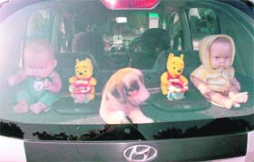 No Roadside Romeos, these dolls Lifestyle photo: Parvesh Chauhan