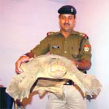 A police personnel with a 20-kg tortoise at Nehru Colony police station. 