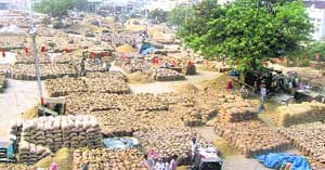 Heaps of paddy bags lying in the grain market at Ahmedgarh.