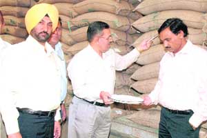 Mehar Singh, area manager, FCI, inspects the quality of rice at FCI godown in Sanghol. 