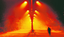 The fog in Chandigarh on Saturday night.