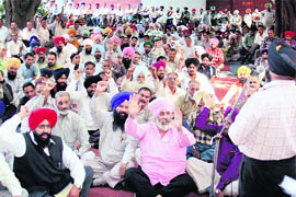 PAU employees protest outside Thapar hall at PAU in Ludhiana on Wednesday. 