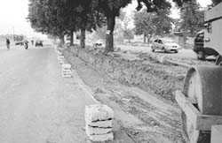 The central verge, developed by the municipal council, being dismantled by GMADA in Mohali