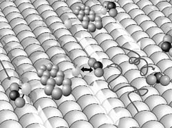 A walking molecule carries molecular packages