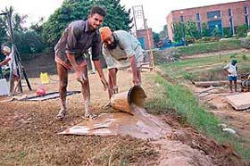 Labourers scrub the floor of an underground water tank in Phase X, Mohali