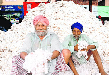 Farmers camp at a cotton mandi in Bathinda