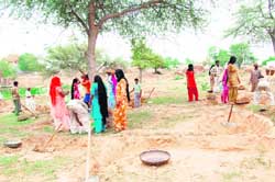 Women work on the digging of a pond in a Fatehabad village under the NREGA scheme. 